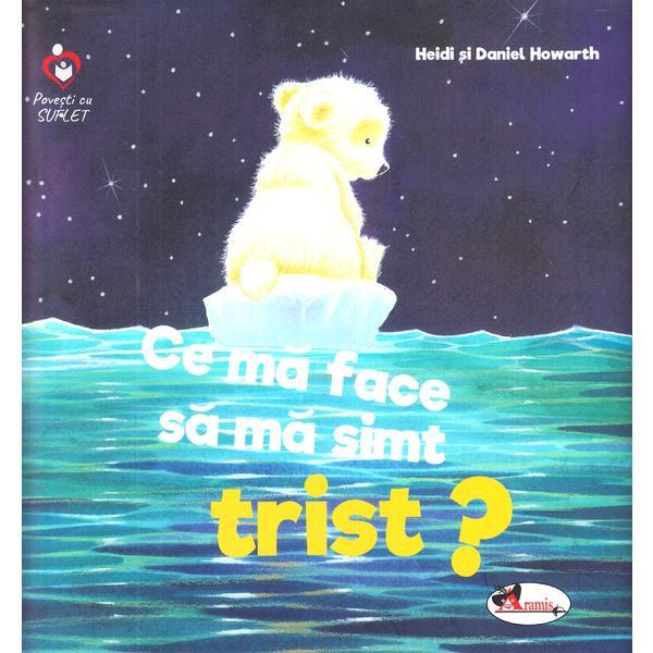 Carte Ce ma face sa ma simt trist? autor Daniel Howarth editura Aramis