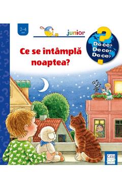 Carte Ce se intampla noaptea? - Constanza Droop editura Constanza Droop