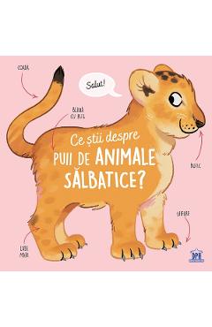 Carte Ce stii despre puii de animale salbatice? - Olivier Le Gall editura Olivier Le Gall