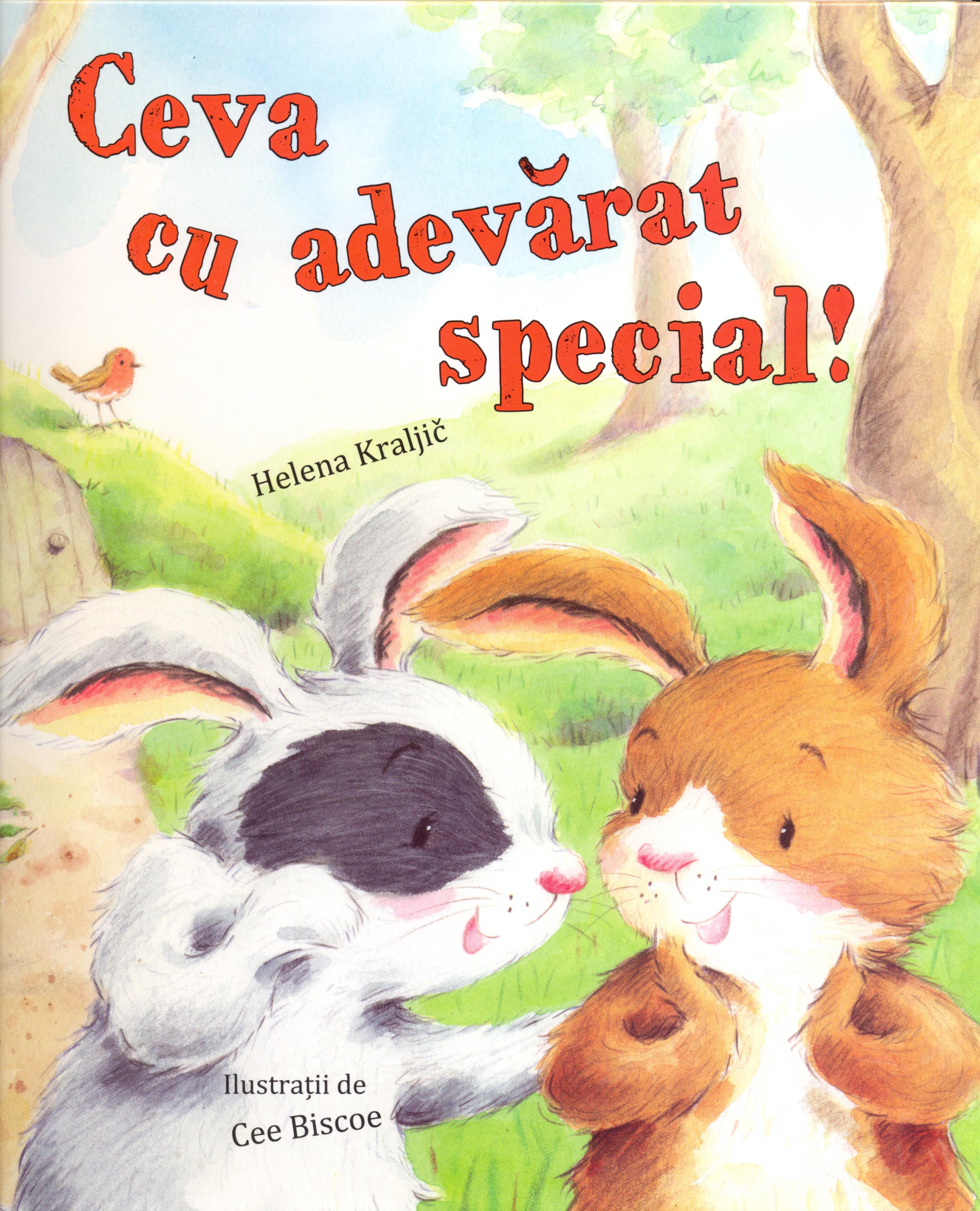 Carte Ceva cu adevarat special! autor Helena Kraljic editura Didactica Publishing House