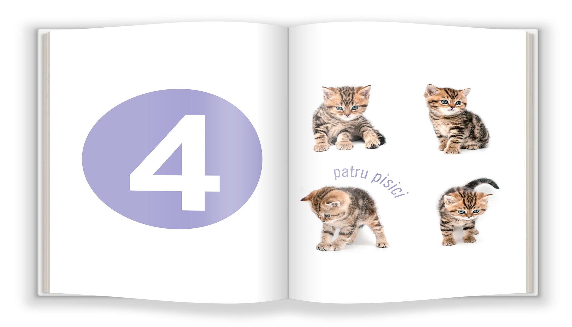 Carte Cifrele   editura Gama