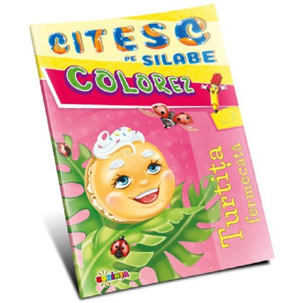 Carte Citesc pe silabe