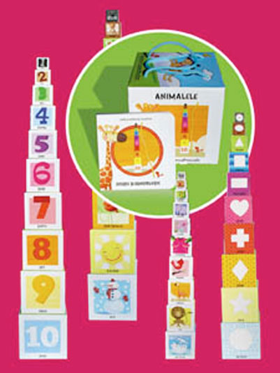 Carte Citeste si construieste. Carte si cuburi de construit   editura Arc