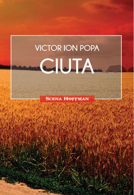 Carte Ciuta autor Victor Ion Popa editura Hoffman