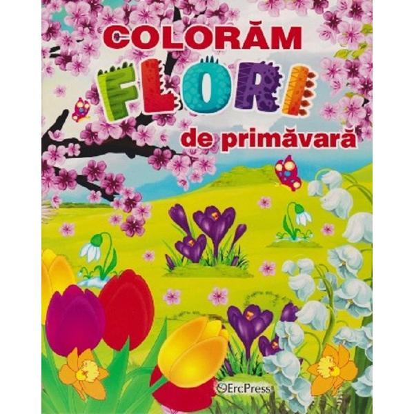 Carte Coloram Flori de Primavara
