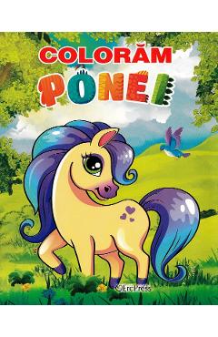 Carte Coloram ponei editura Autor Anonim
