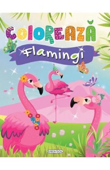 Carte Coloreaza - Flamingi editura Girasol