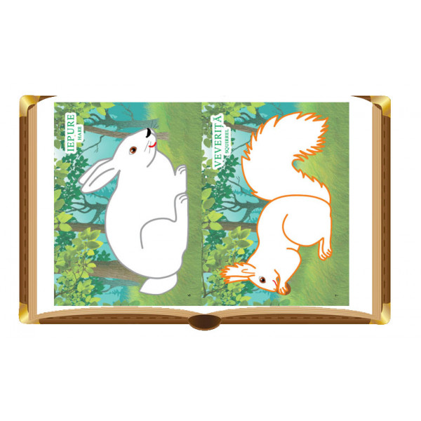 Carte Colorez - Animale salbatice   editura Dorinta