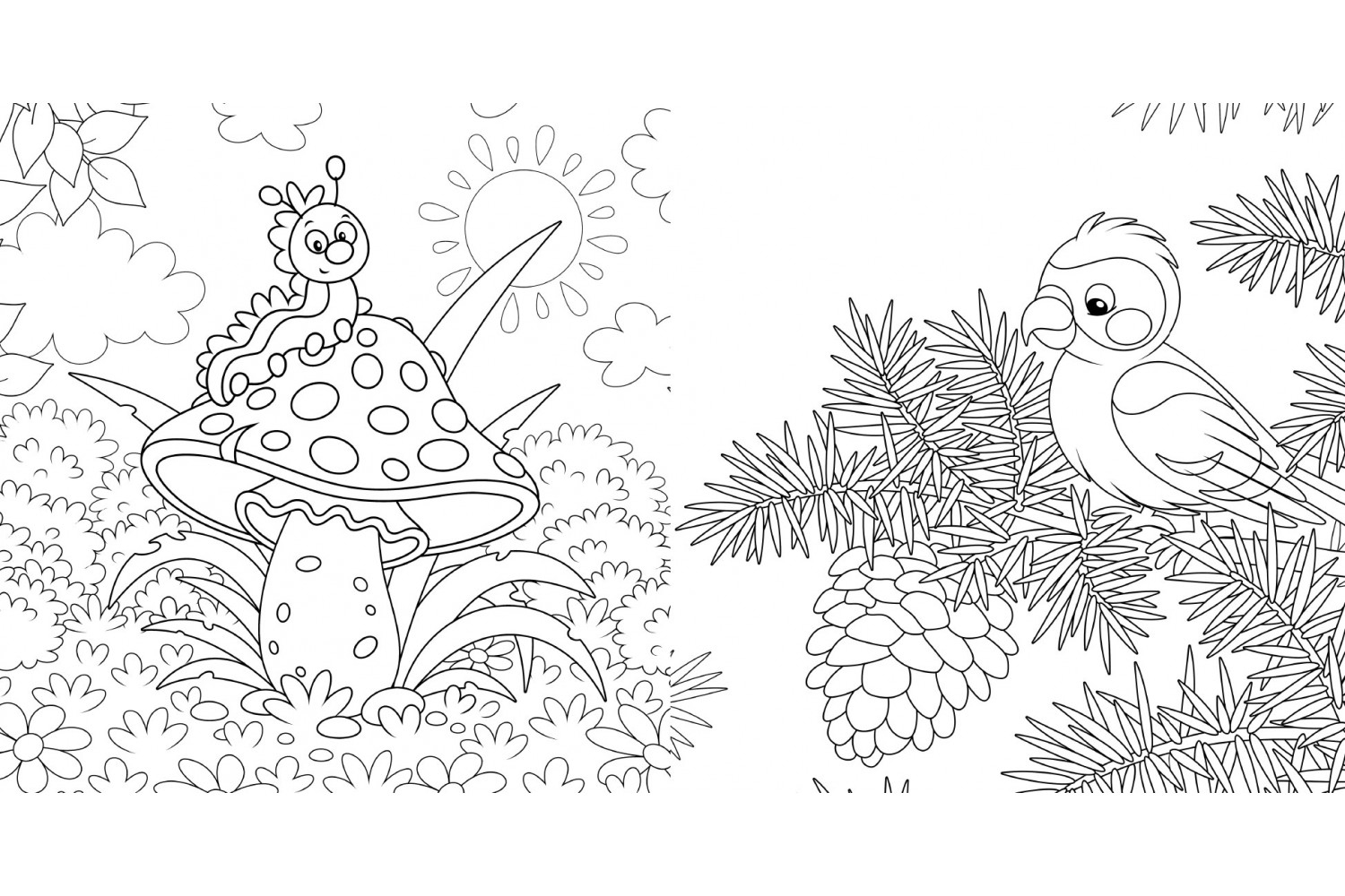 Carte Colorez Natura   editura Didactica Publishing House