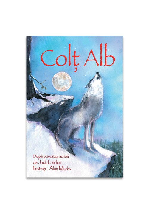 Carte Colt Alb editura Didactica Publishing House