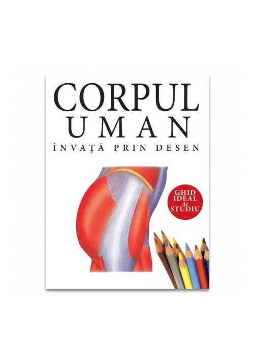 Carte Corpul uman: Invata prin desen editura Didactica Publishing House