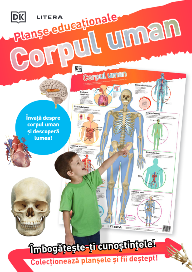 Carte Corpul uman. Planșe educaționale editura Litera