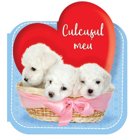 Carte Culcusul meu   editura Flamingo GD