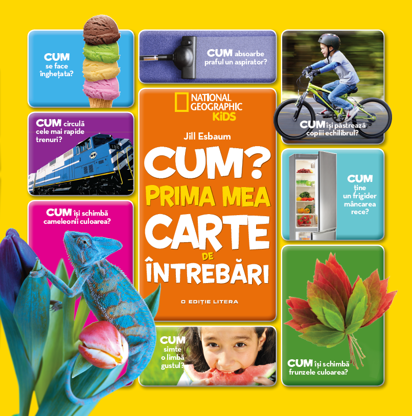 Carte Cum? Prima mea carte de întrebări editura Litera