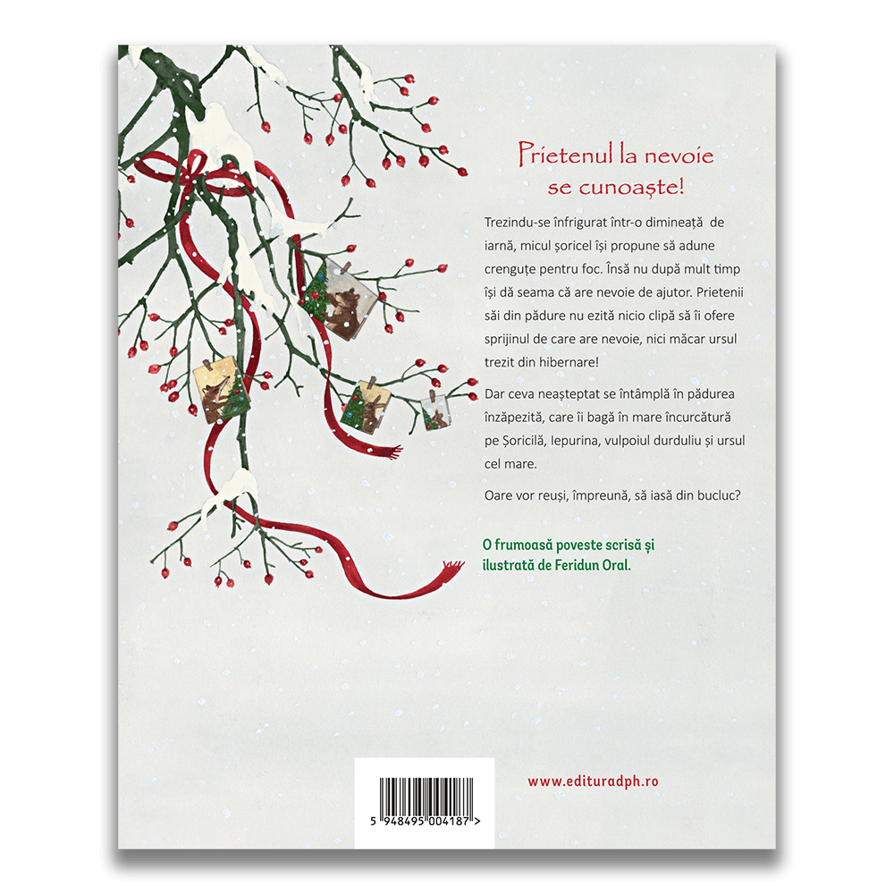 Carte Cum a invatat Soricila valoarea prieteniei autor Feridun Oral editura Didactica Publishing House