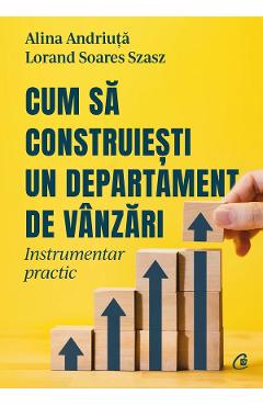 Carte Cum sa construiesti un departament de vanzari - Alina Andriuta