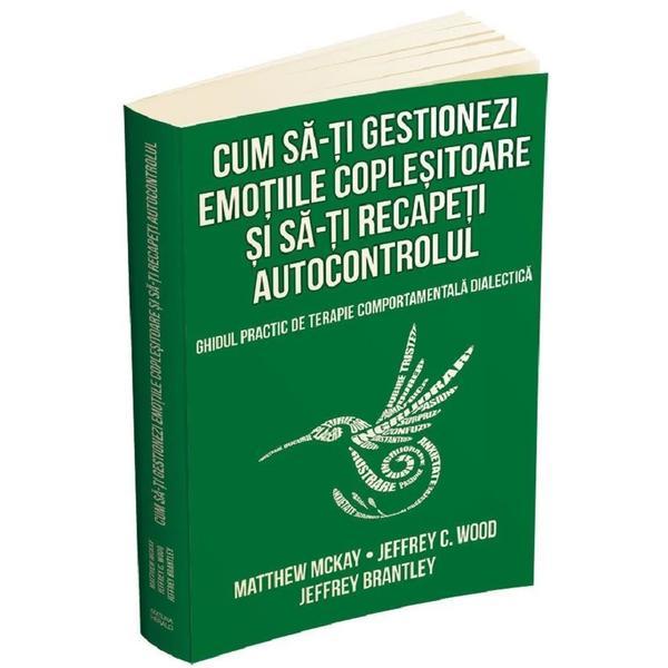 Carte Cum sa-ti gestionezi emotiile coplesitoare si sa-ti recapeti autocontrolul - Matthew Mckay