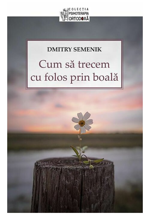 Carte Cum sa trecem cu folos prin boala editura Editura Sophia