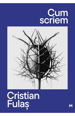 Carte Cum scriem - Cristian Fulas editura Cristian Fulas