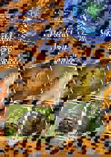 Carte Curiozitati despre animale editura Ars Libri