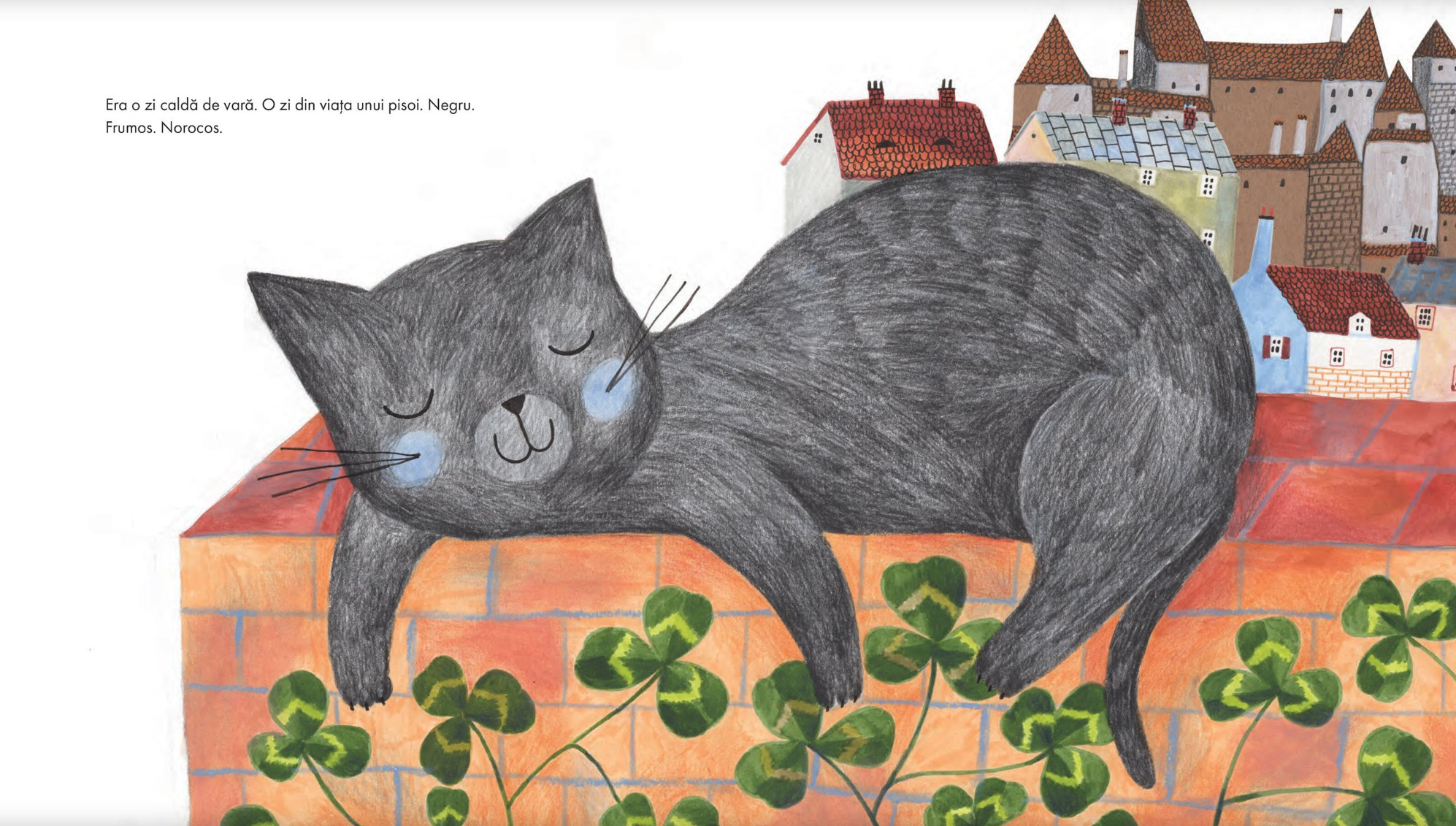 Carte Dar Motan inoata autor Cristina Andone editura Nemira