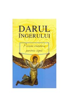 Carte Darul Ingerului 2008 editura -