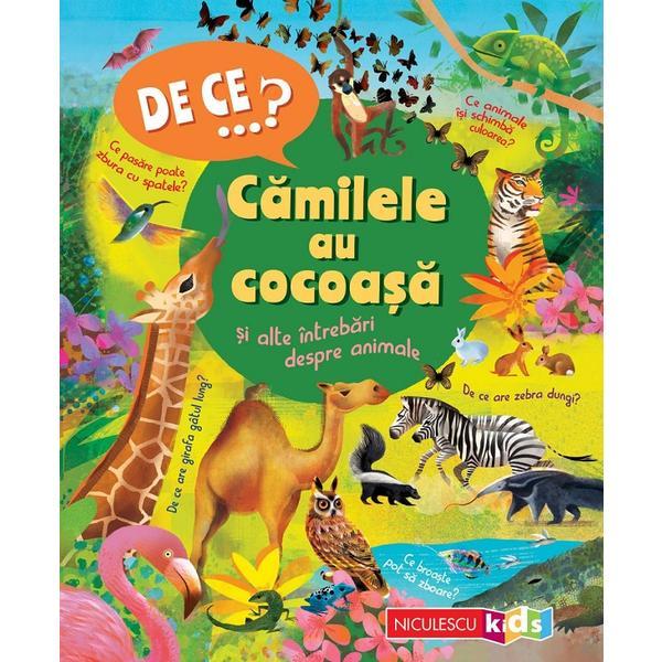 Carte De ce? Camilele au cocoasa si alte intrebari despre animale - Anita Ganeri