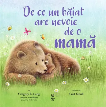Carte De ce un baiat are nevoie de o mama/Gregory E. Lang editura Pandora M