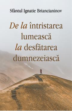 Carte De la intristarea lumeasca la desfatarea dumnezeiasca - Ignatie Briancianinov editura Ignatie Briancianinov