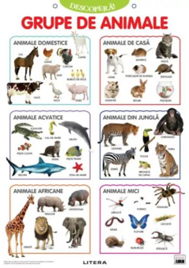 Carte Descopera! Grupe de animale (planse educationale) editura Litera