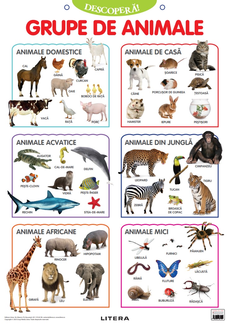 Carte Descopera! Grupe de animale (planse educationale) editura Litera