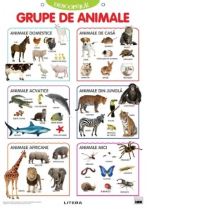 Carte Descopera! Grupe de animale (planse educationale)