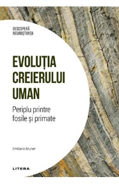 Carte Descopera Neurostiinta. Evolutia creierului uman. Periplu printre fosile si primate - Emiliano Bruner editura Emiliano Bruner