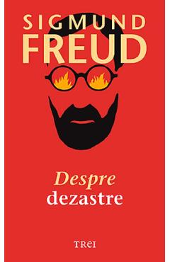 Carte Despre dezastre - Sigmund Freud editura Sigmund Freud