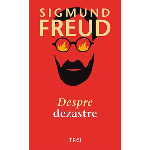 Carte Despre dezastre - Sigmund Freud