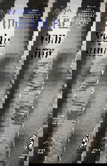 Carte Detaliu minor editura Trei