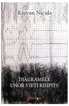 Carte Diagramele unor vieti risipite - Razvan Nicula editura Razvan Nicula