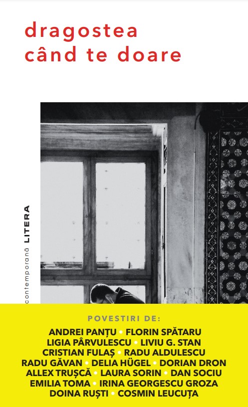 Carte Dragostea cand te doare editura Litera