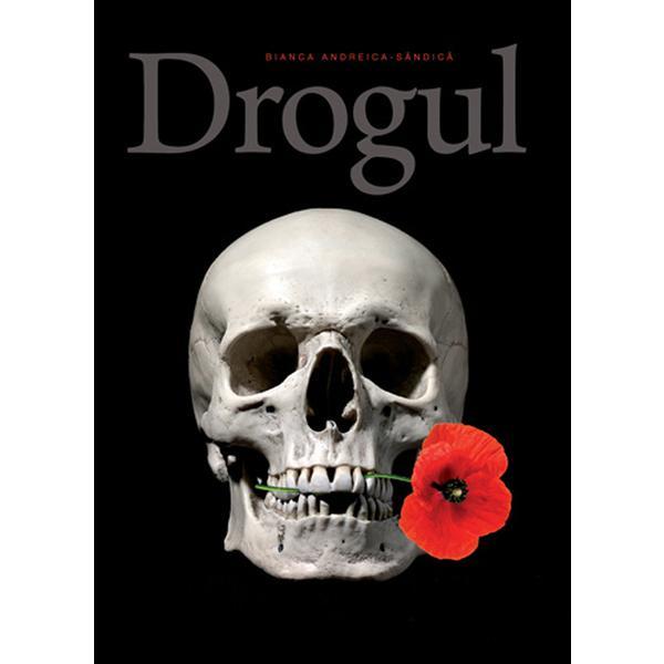 Carte Drogul - Bianca Andreica-Sandica