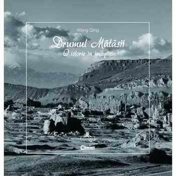 Carte Drumul matasii. O istorie in imagini/Wang Qing editura Corint