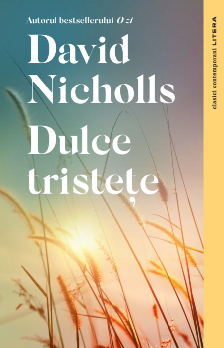 Carte Dulce tristete autor David Nicholls editura Litera