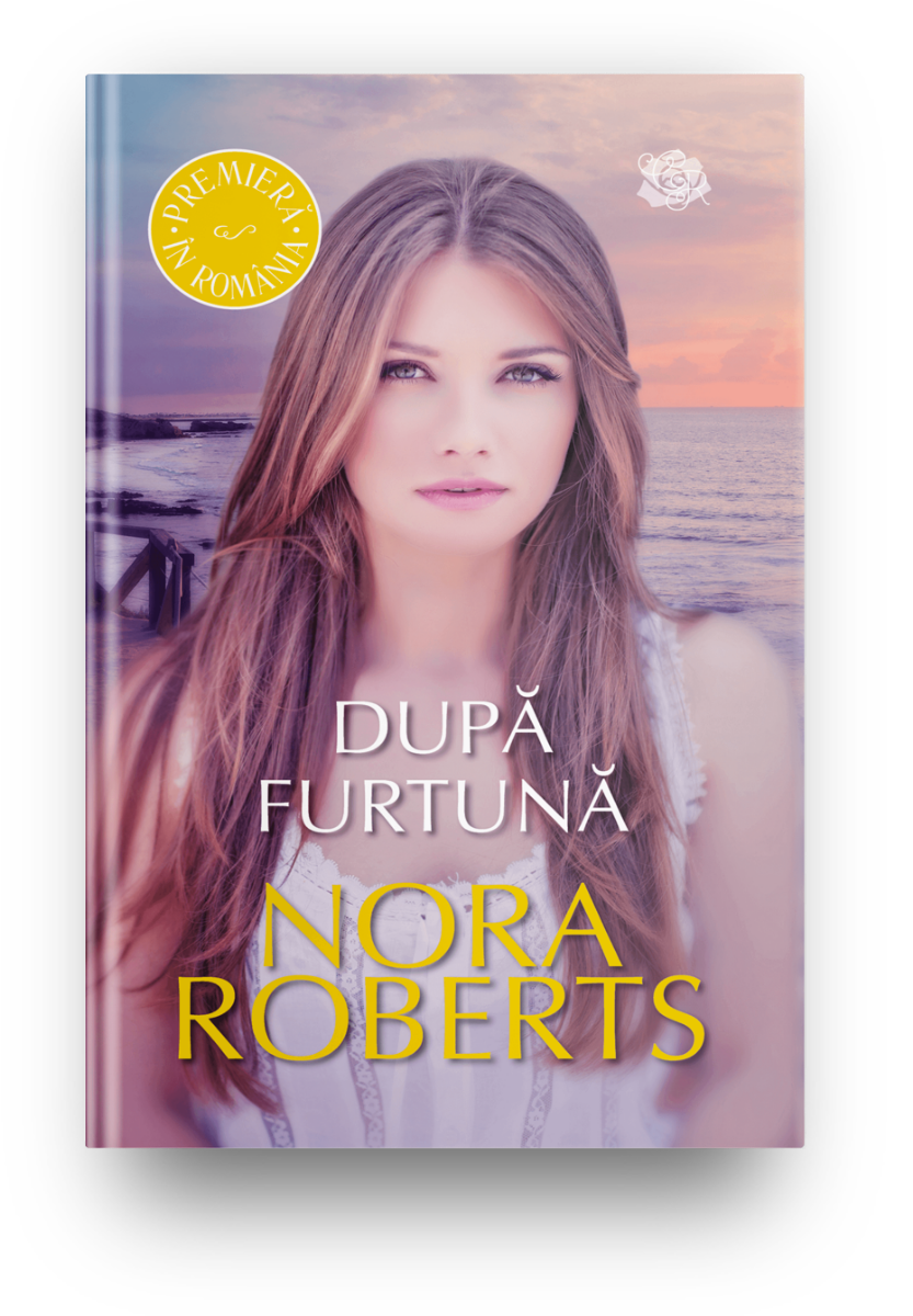 Carte Dupa furtuna editura Litera