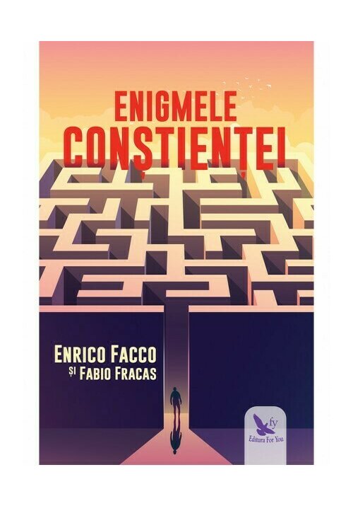 Carte ENIGMELE CONSTIENTEI editura For You