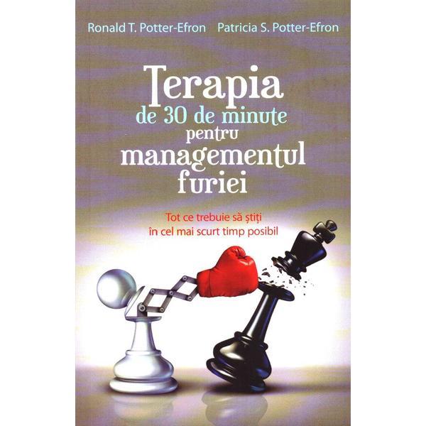 Carte Efron-Terapia de 30 de minute pentru managementul furiei - Ronald T. Potter