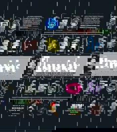 Carte Elementele. O prezentare vizuala a fiecarui atom cunoscut din univers editura Litera