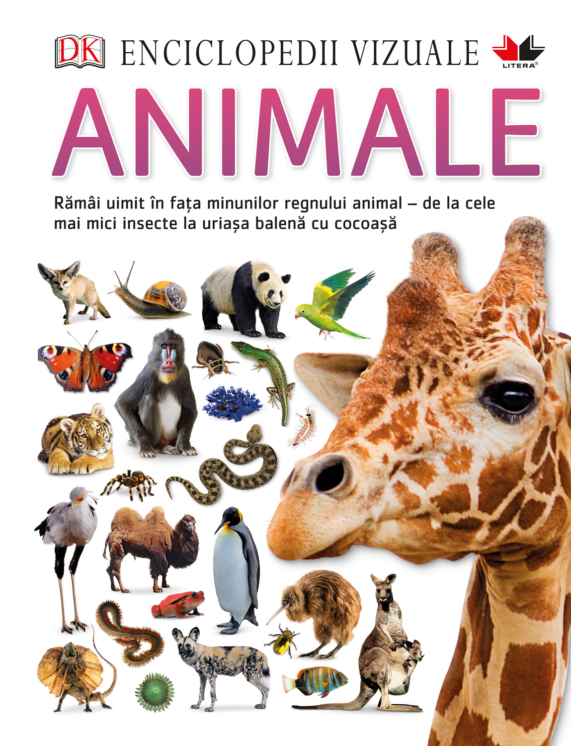 Carte Enciclopedii vizuale. Animale editura Litera