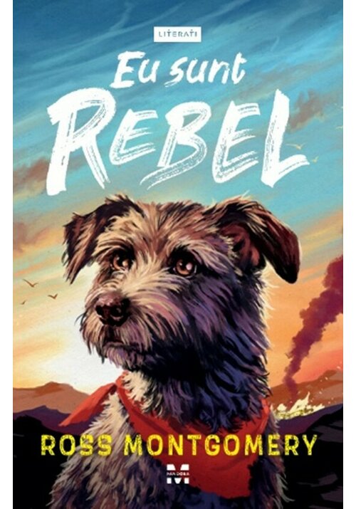 Carte Eu sunt Rebel editura Pandora M