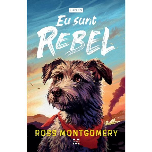 Carte Eu sunt Rebel - Ross Montgomery