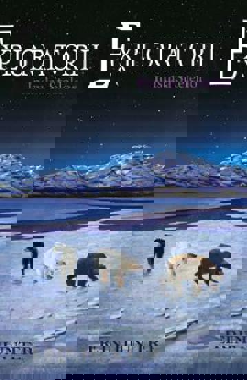 Carte Exploratorii Vol. 6 Insula stelelor editura Grupul All