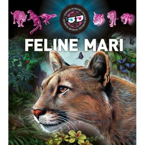 Carte Feline mari 3D editura Kreativ